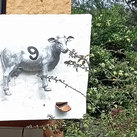 Maison Entière, 6 Personnes, 10 Min à Pied Centre Et Plages Hébergement de vacances